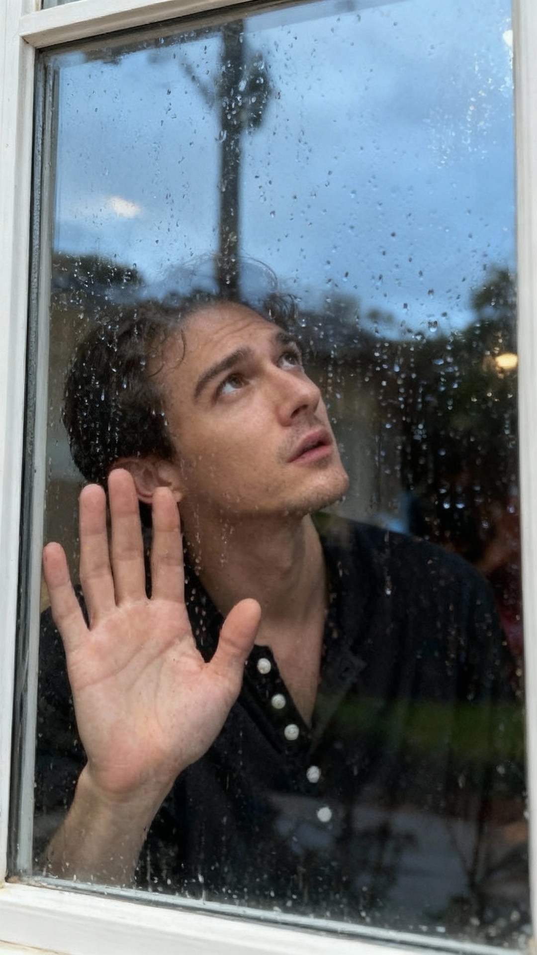 将軍 バックグラウンド